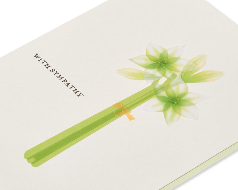 Papyrus Sympathy Card (Comfort and Support) - Image 5